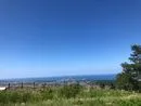 ポカリラブ