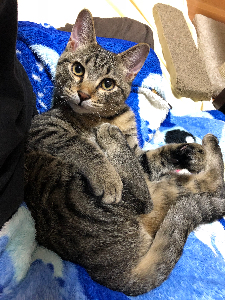 すーぱんぱ