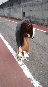 ともは