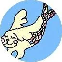 Bunny Fish
