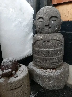 カモメ