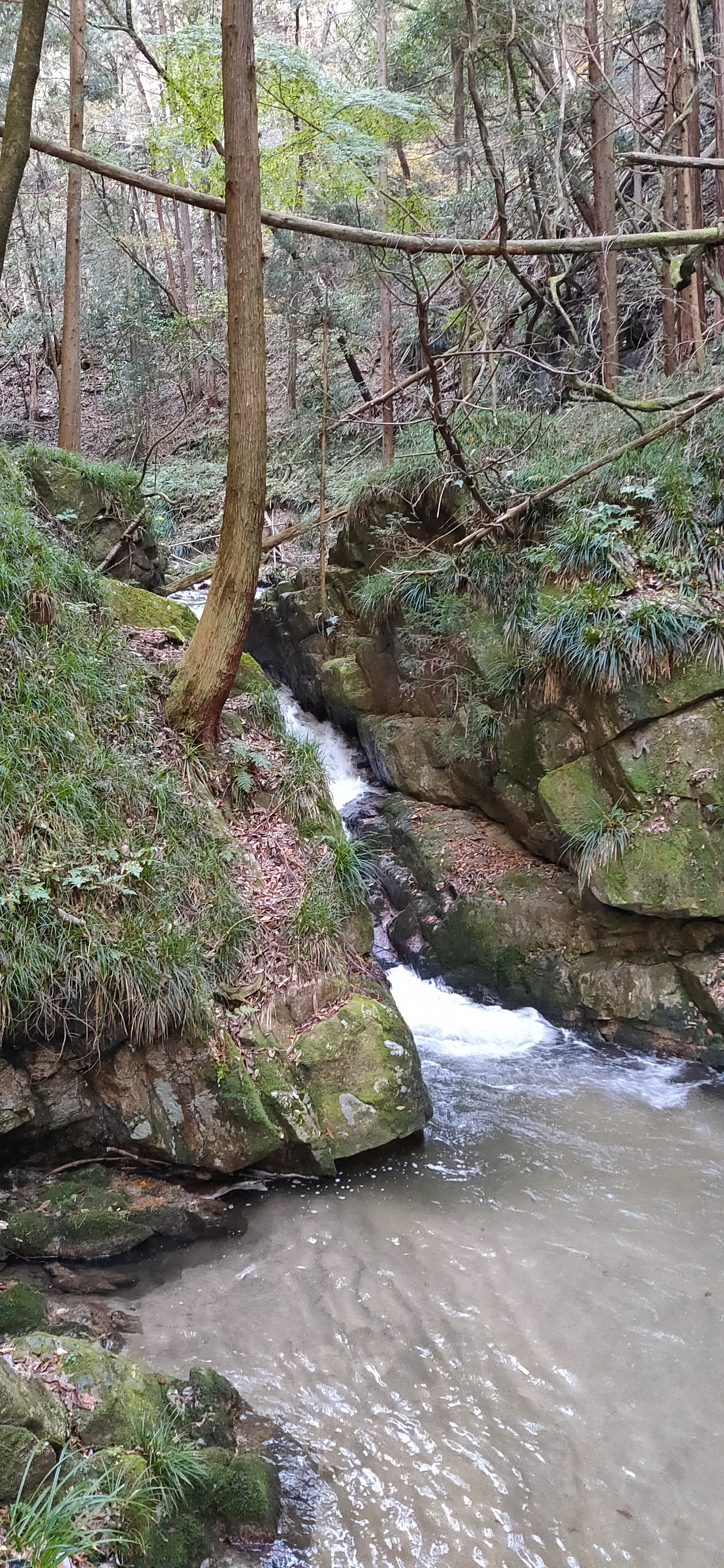 河鹿沢の雌滝
