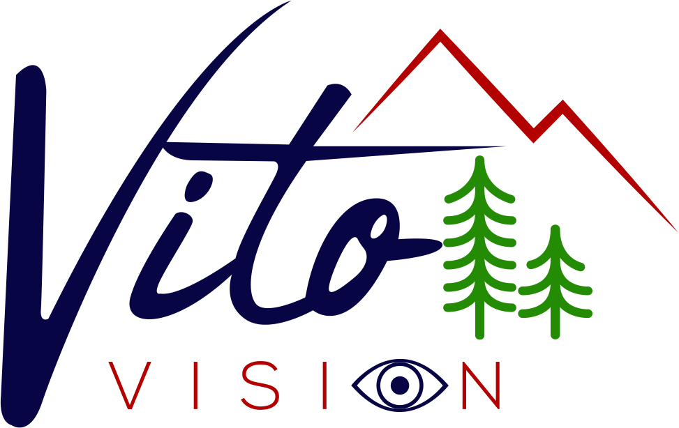 Vito Vision