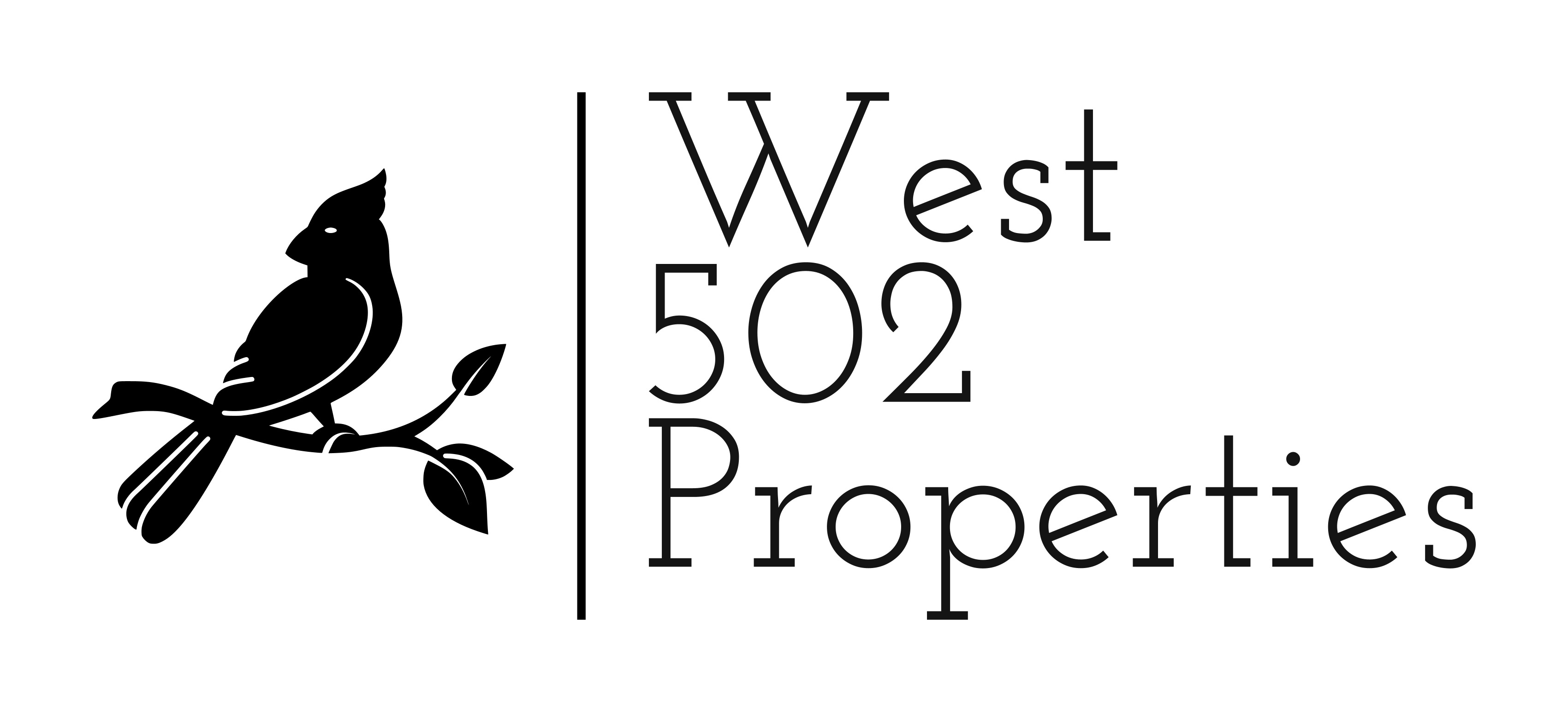 WEST 502 PROPERTIES