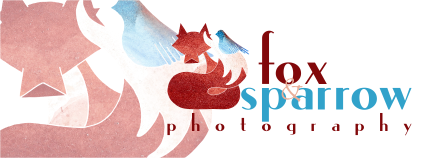 Fox & Sparrow Photography