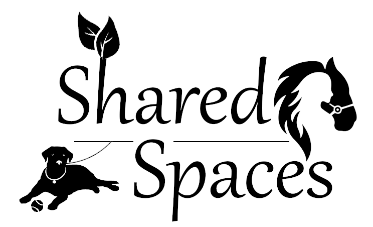 Shared Spaces