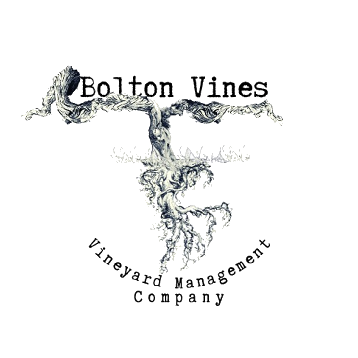 Bolton Vines