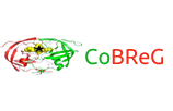 Convention of Biomedical Research Ghana