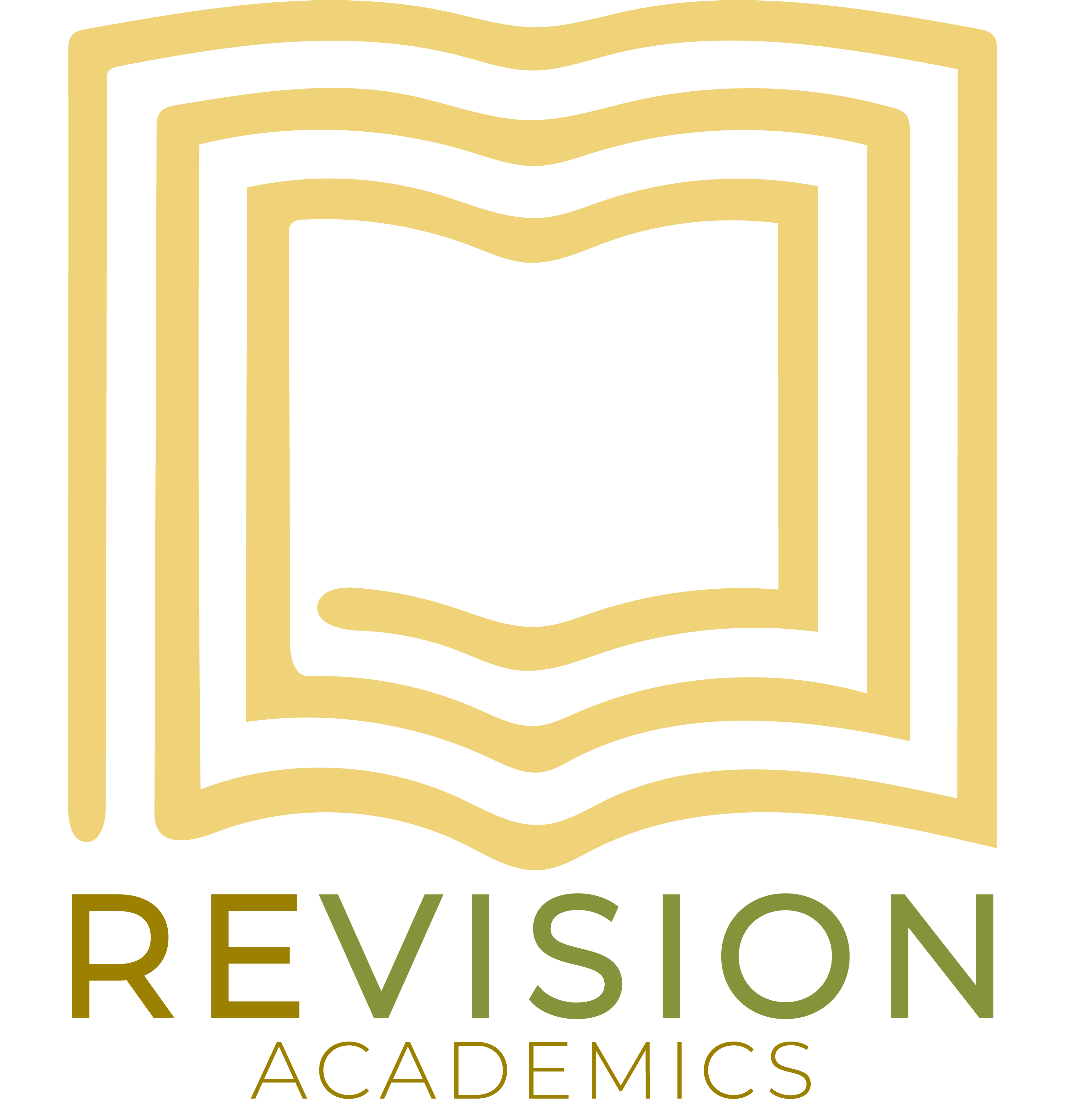 ReVision Academics