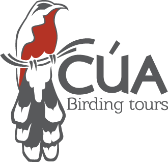 Cua Birding