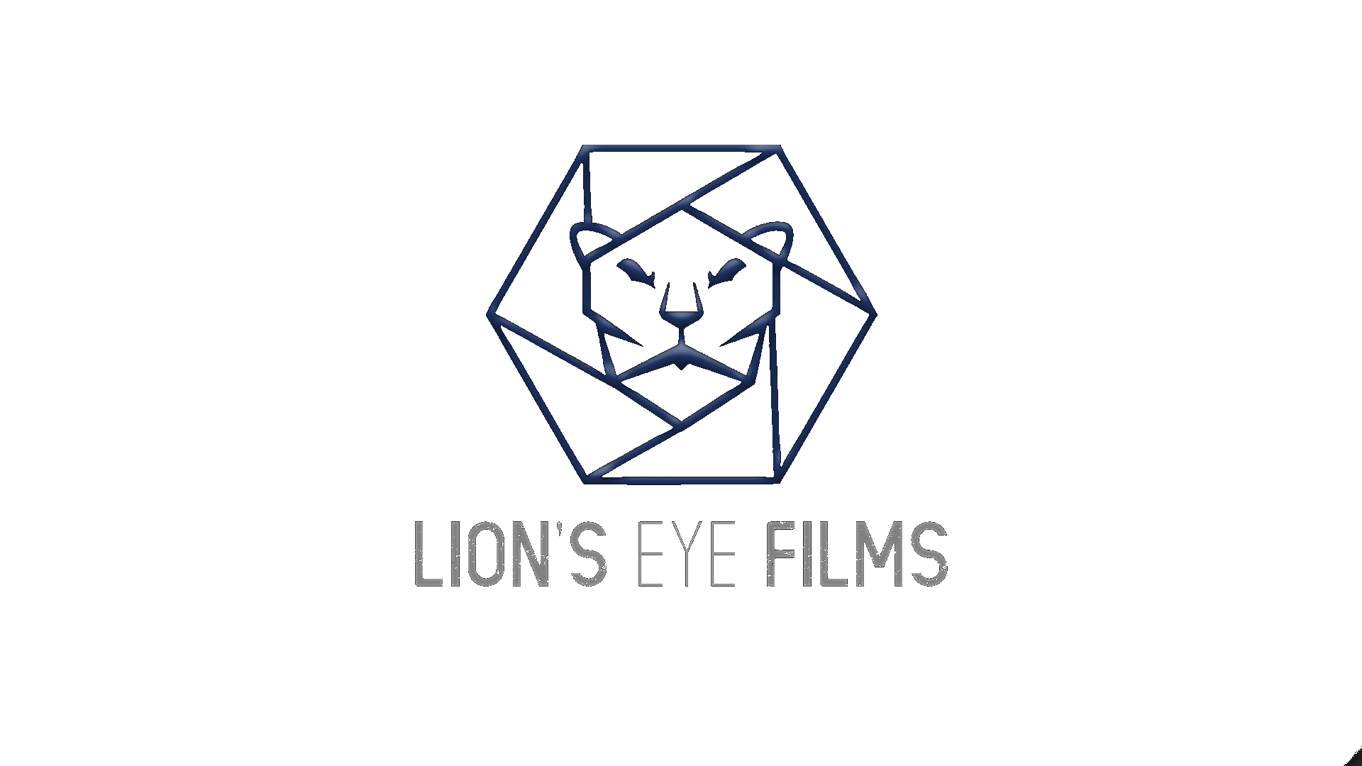 Lion's Eye Films