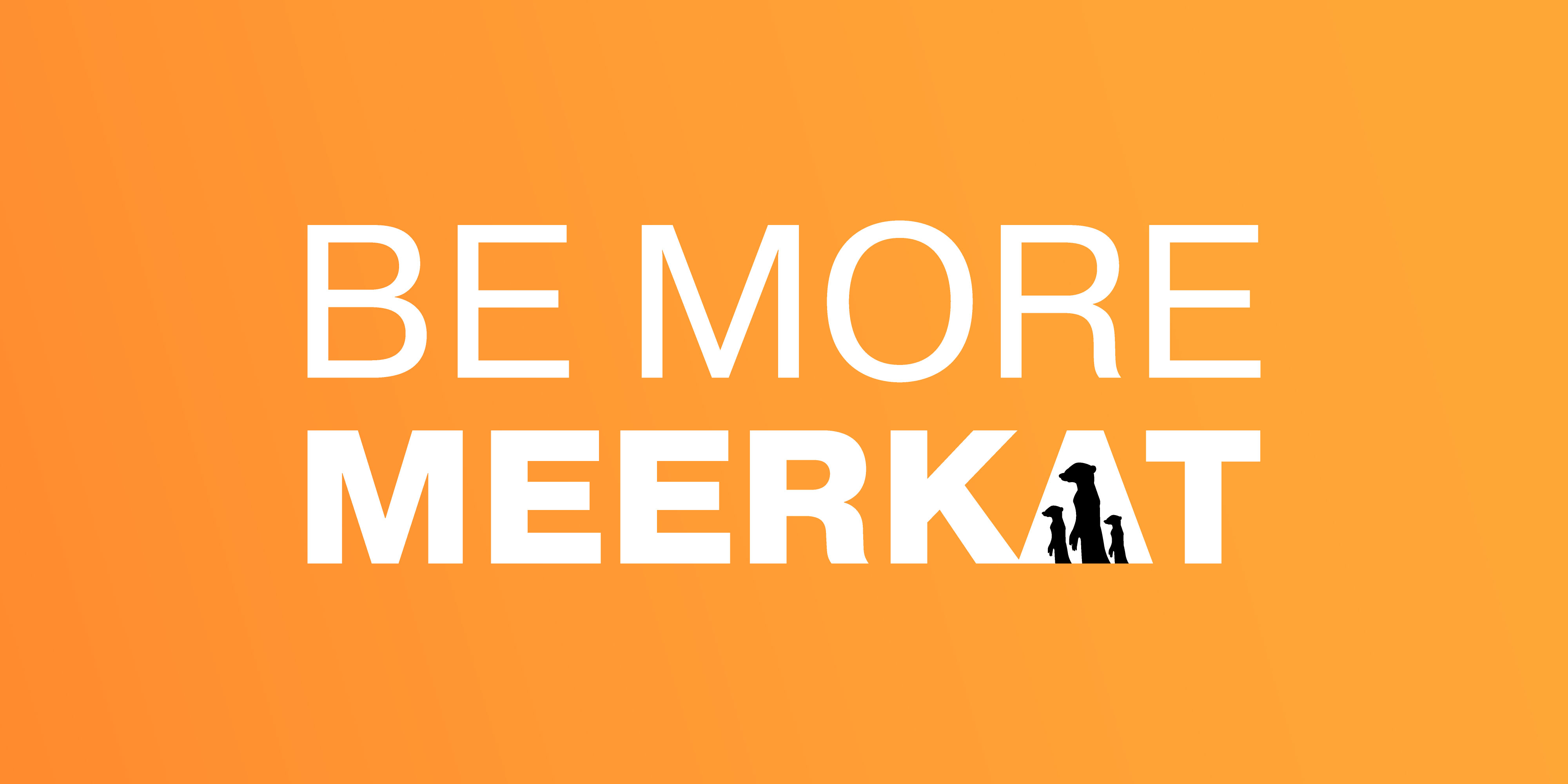 Be more MEERKAT