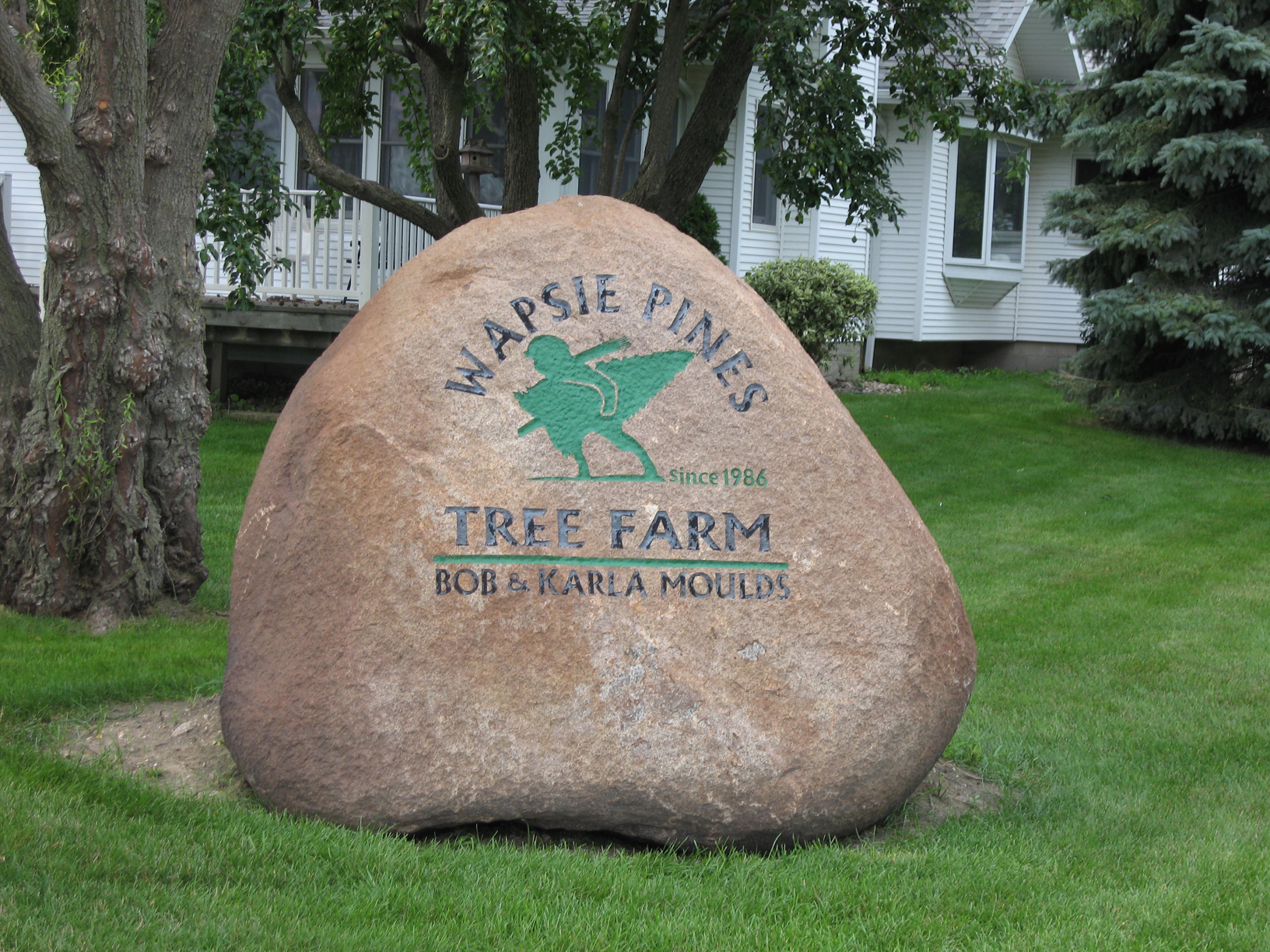 Wapsie Pines Christmas Tree Farm