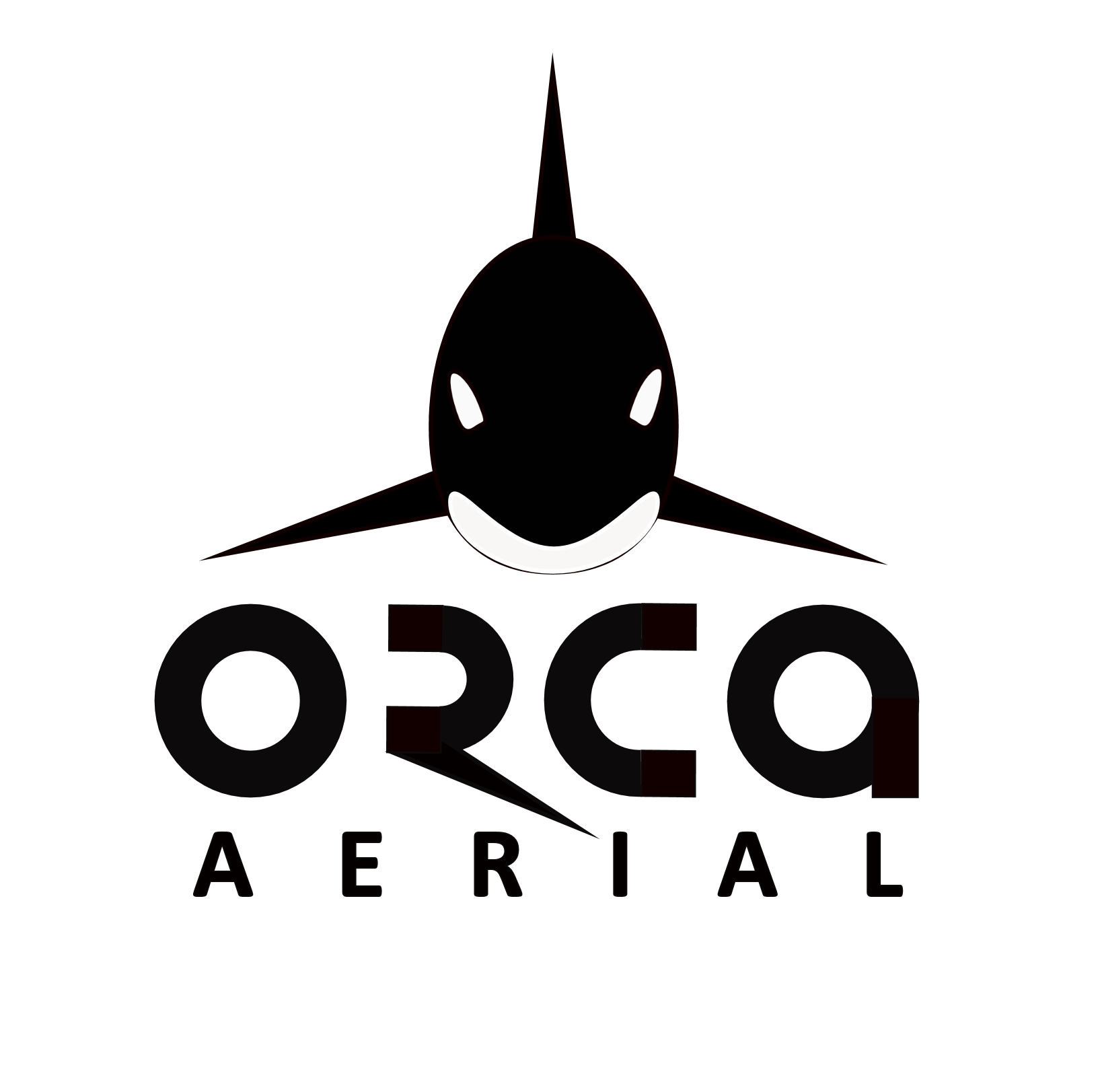 Orca Aerial