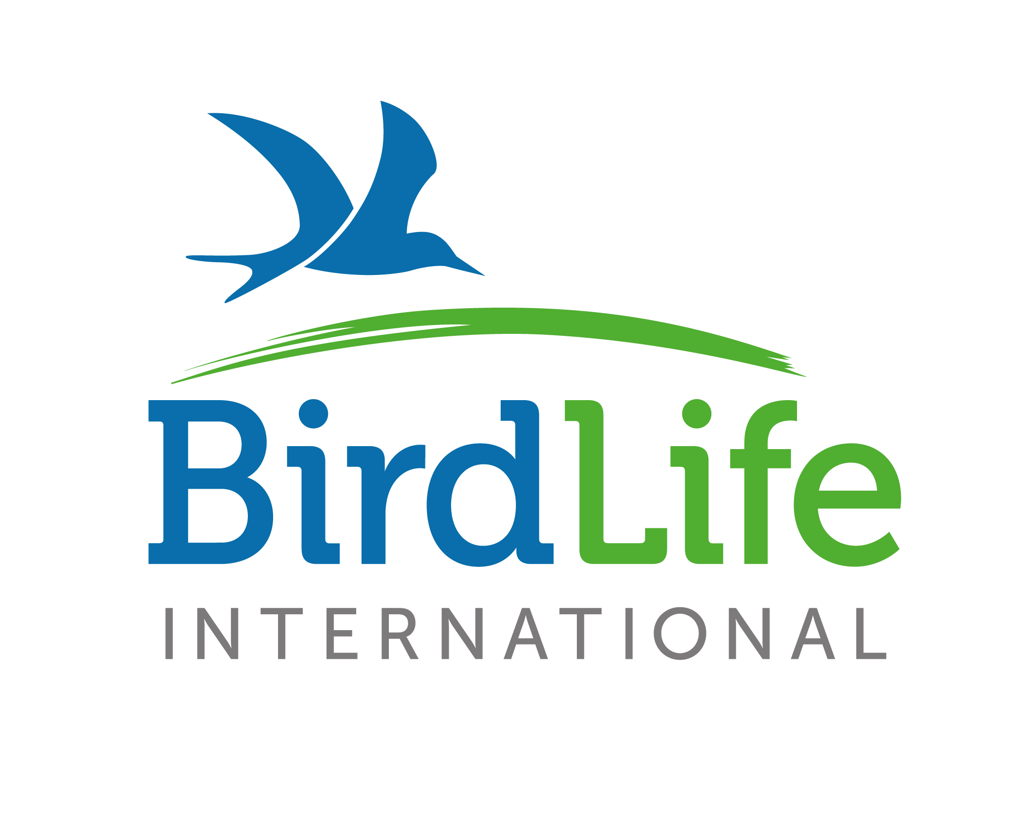 Globally Threatened Bird Forums