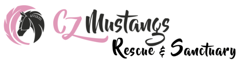 CZ Mustangs Rescue & Sanctuary