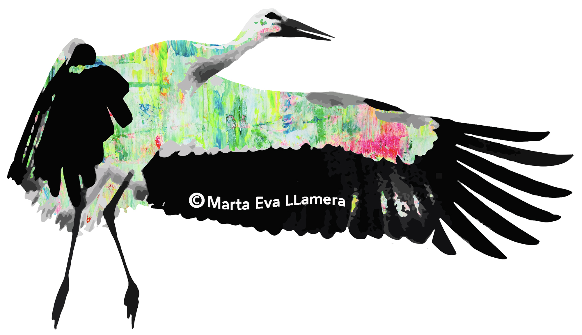 Marta Eva LLamera  visual artist