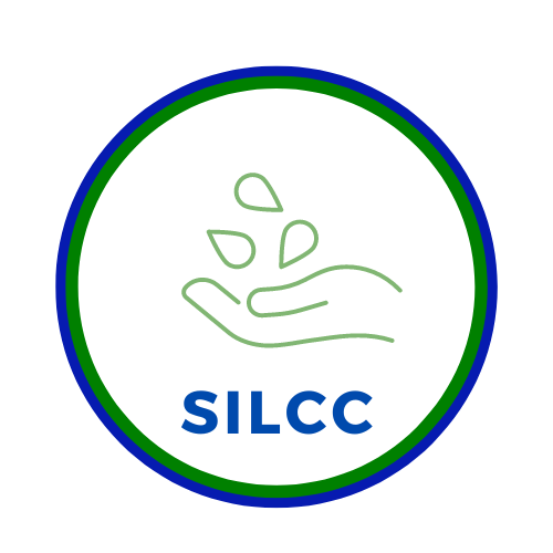 SILCC