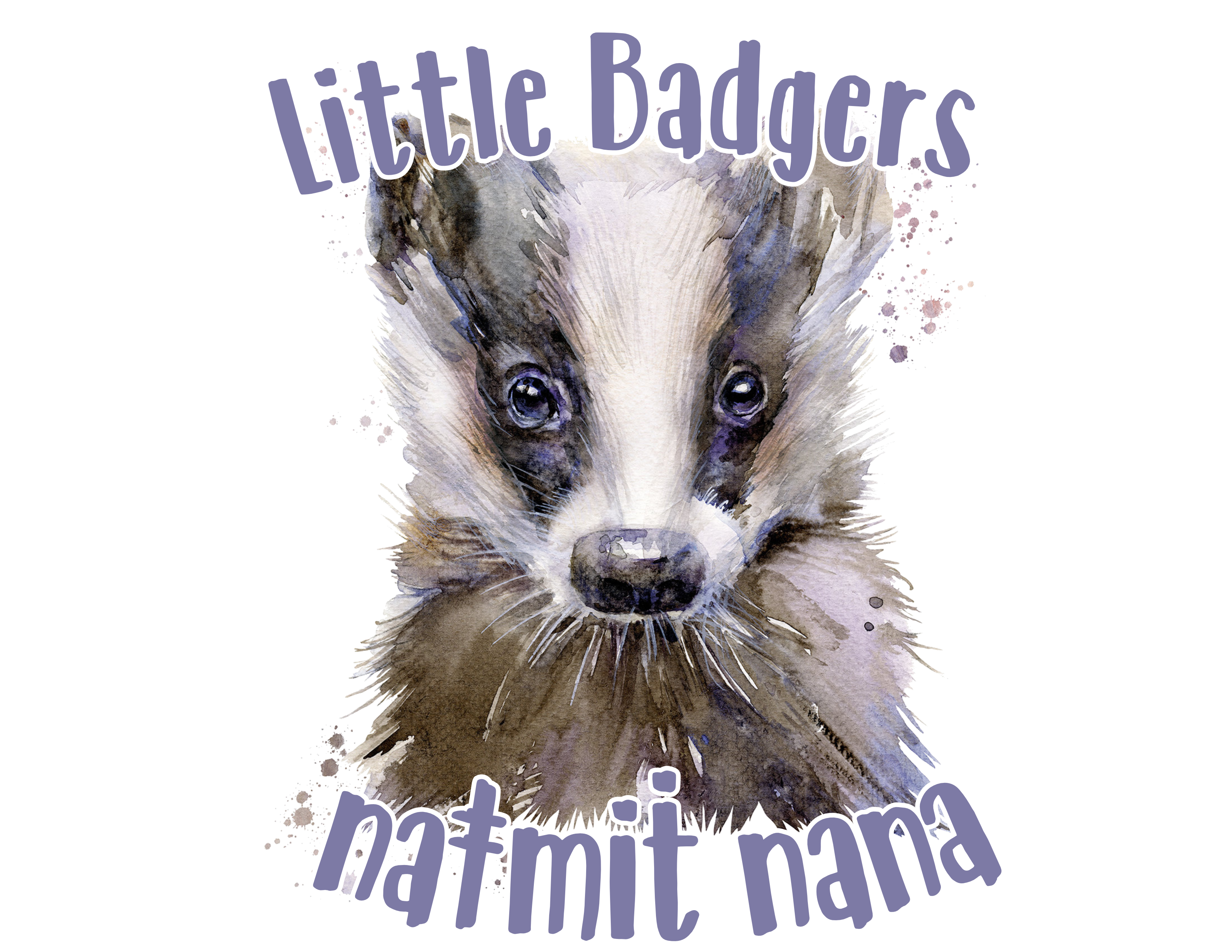 Little Badger Early Learning