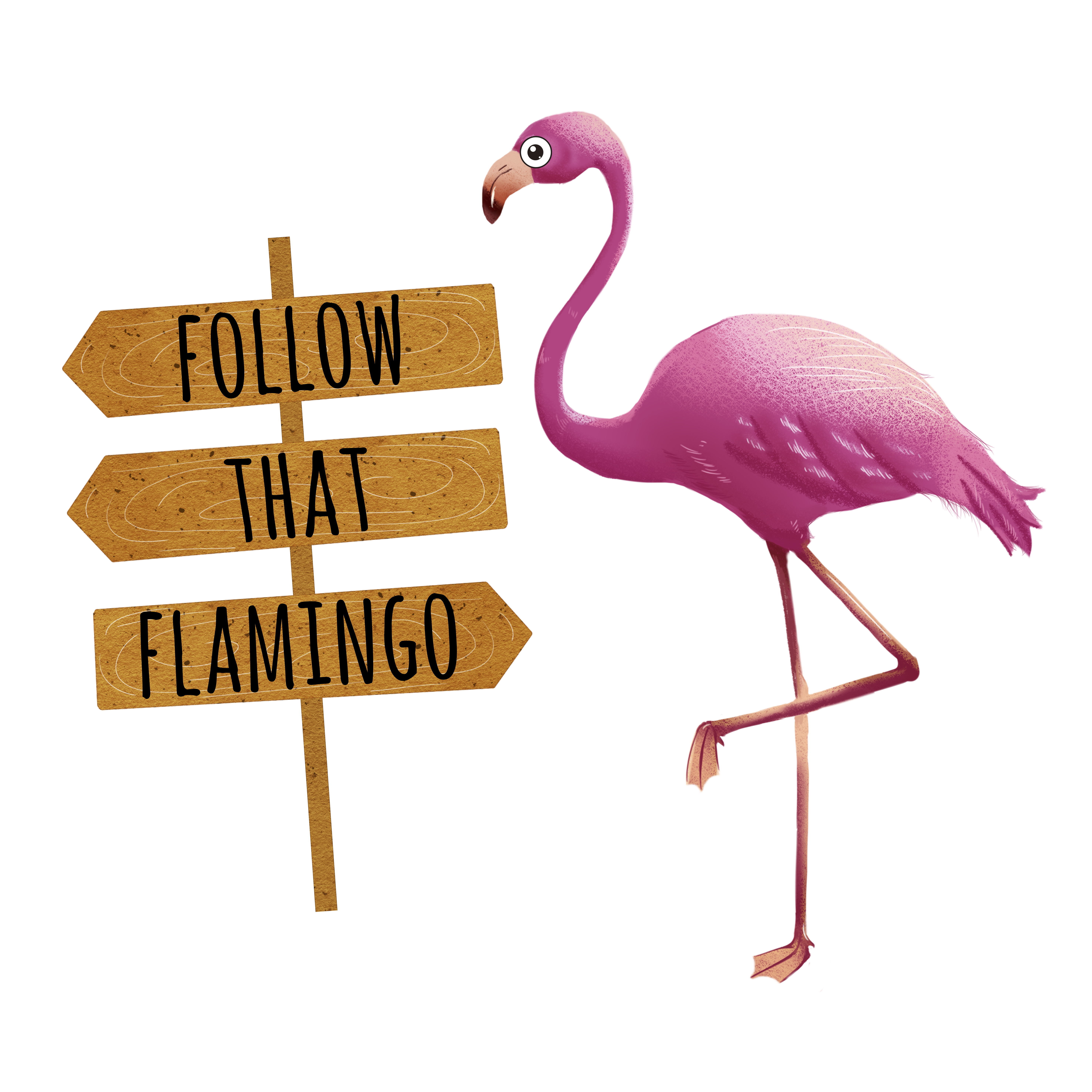 Follow that Flamingo