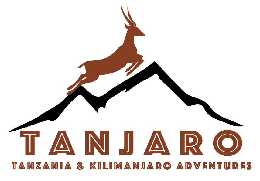 Tanjaro Adventures