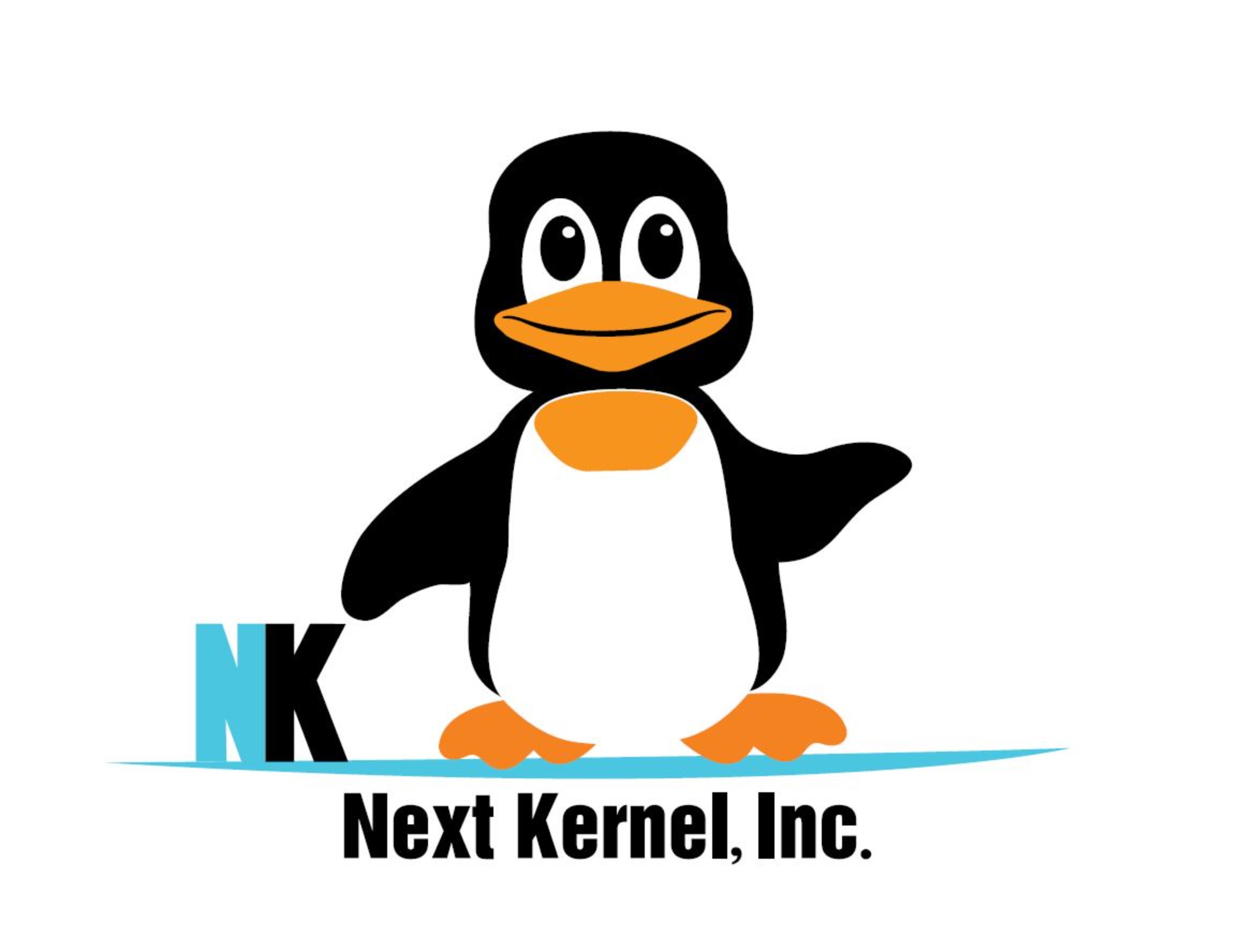 Next Kernel providing IT Service Management since 2009