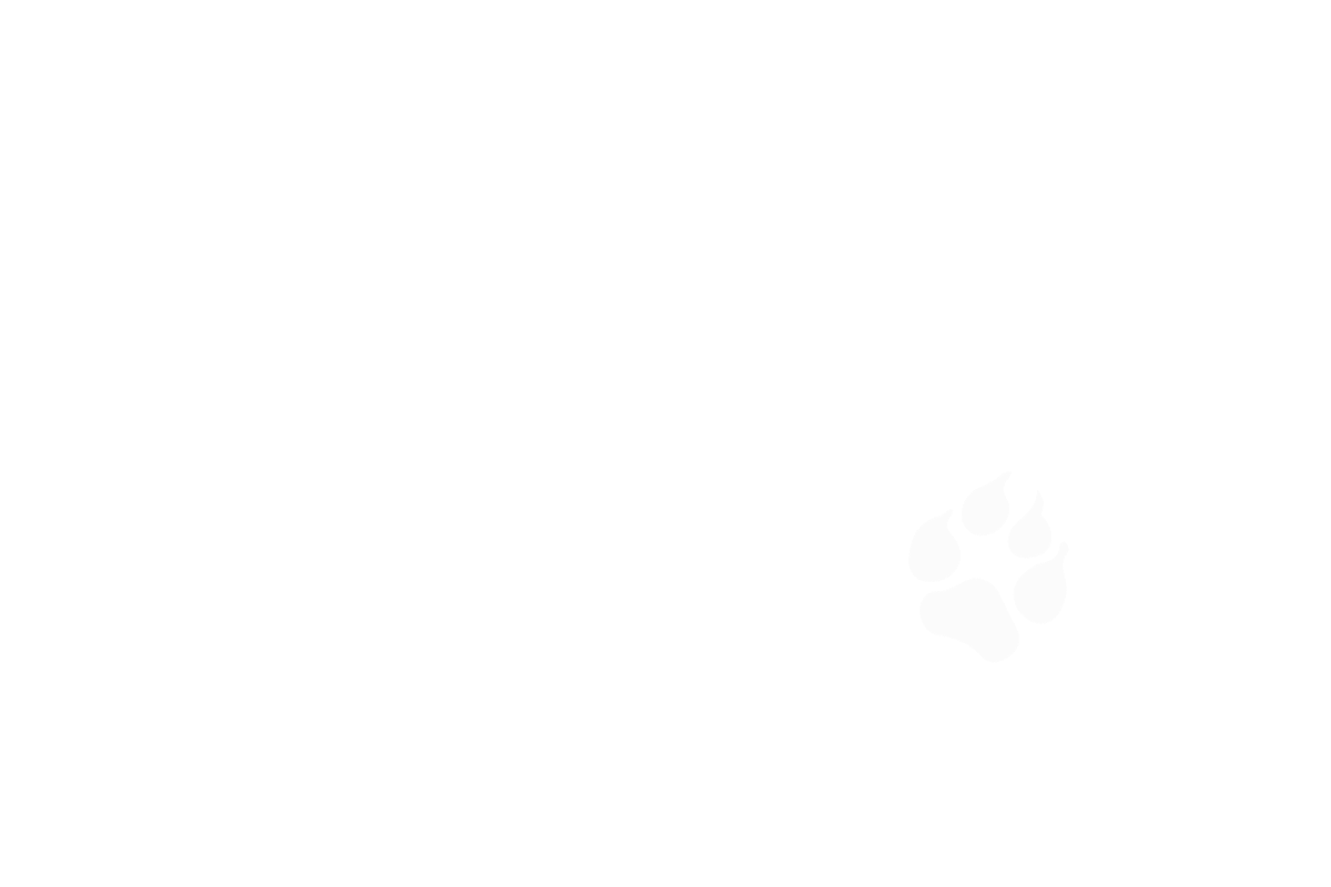 Snitkerimages Nature Photography