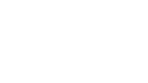 SES Portal