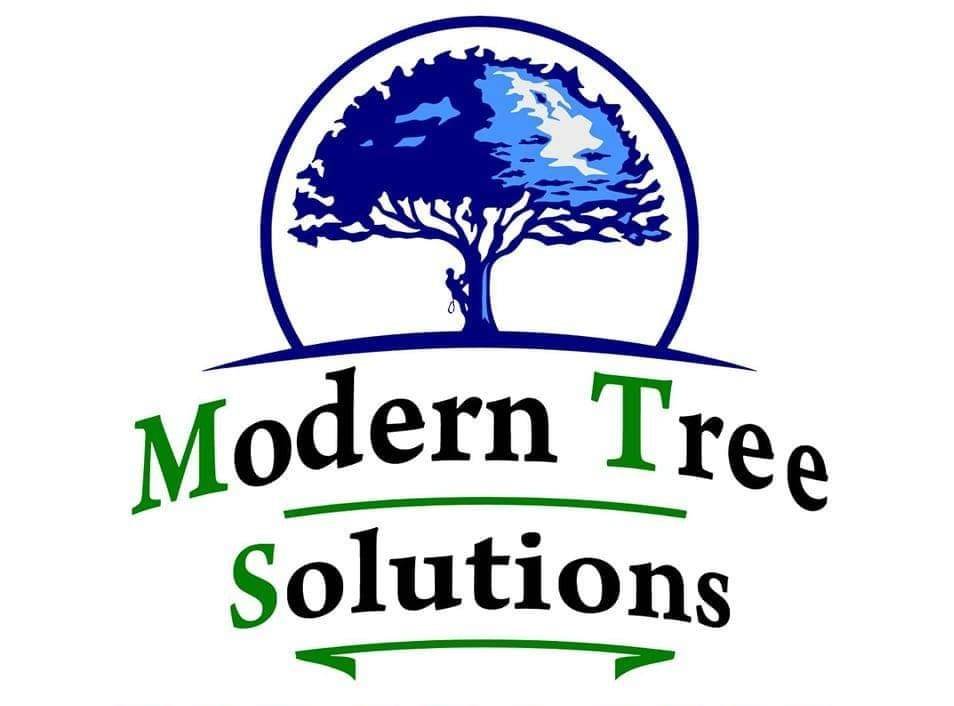 Modern Tree Solutions         765-374-8698