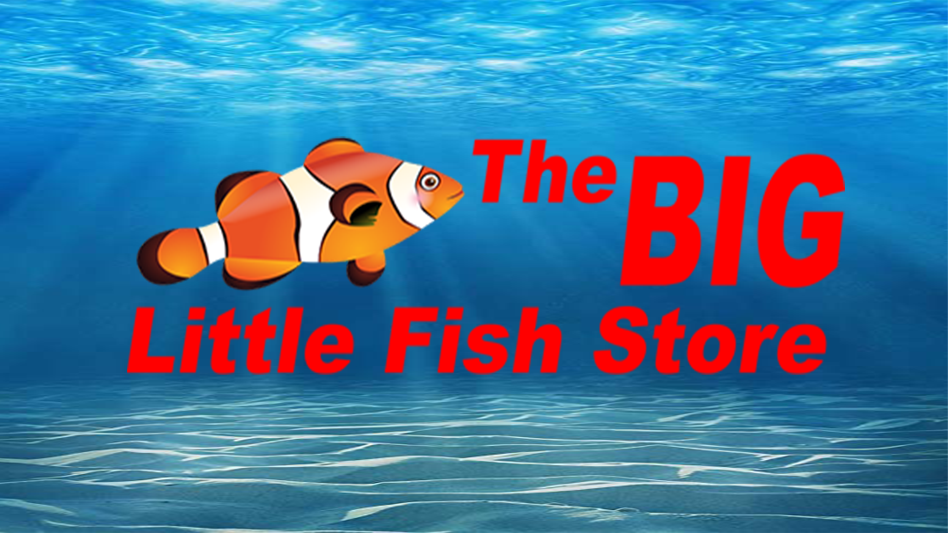 The Big Little Fish Store