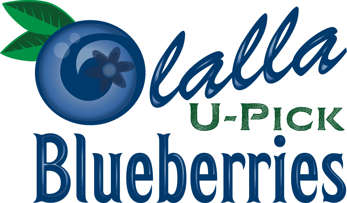 Olalla U-Pick Blueberry Farm