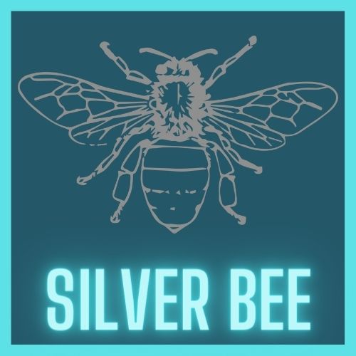 Find your Strength - Silver Bee