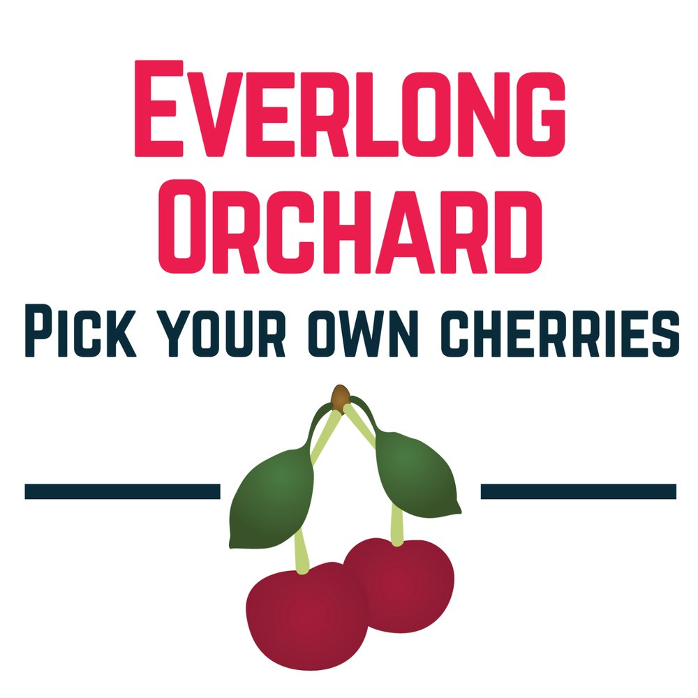 Everlong Orchard