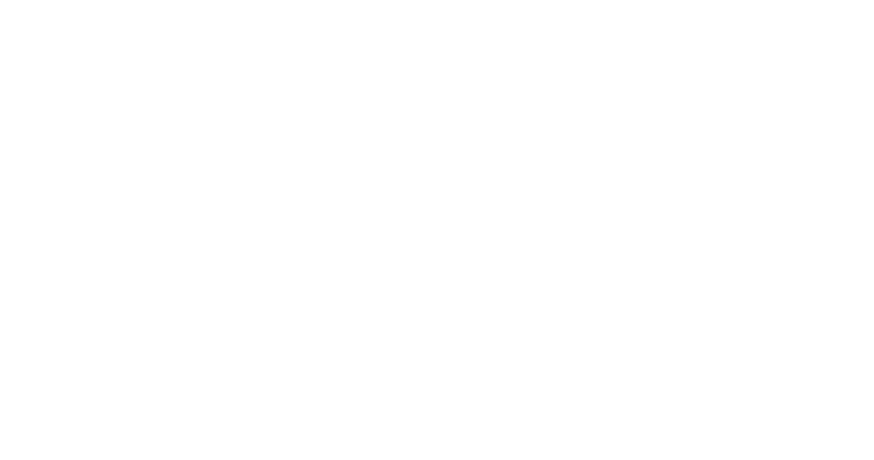 Preferred Real Estate Group