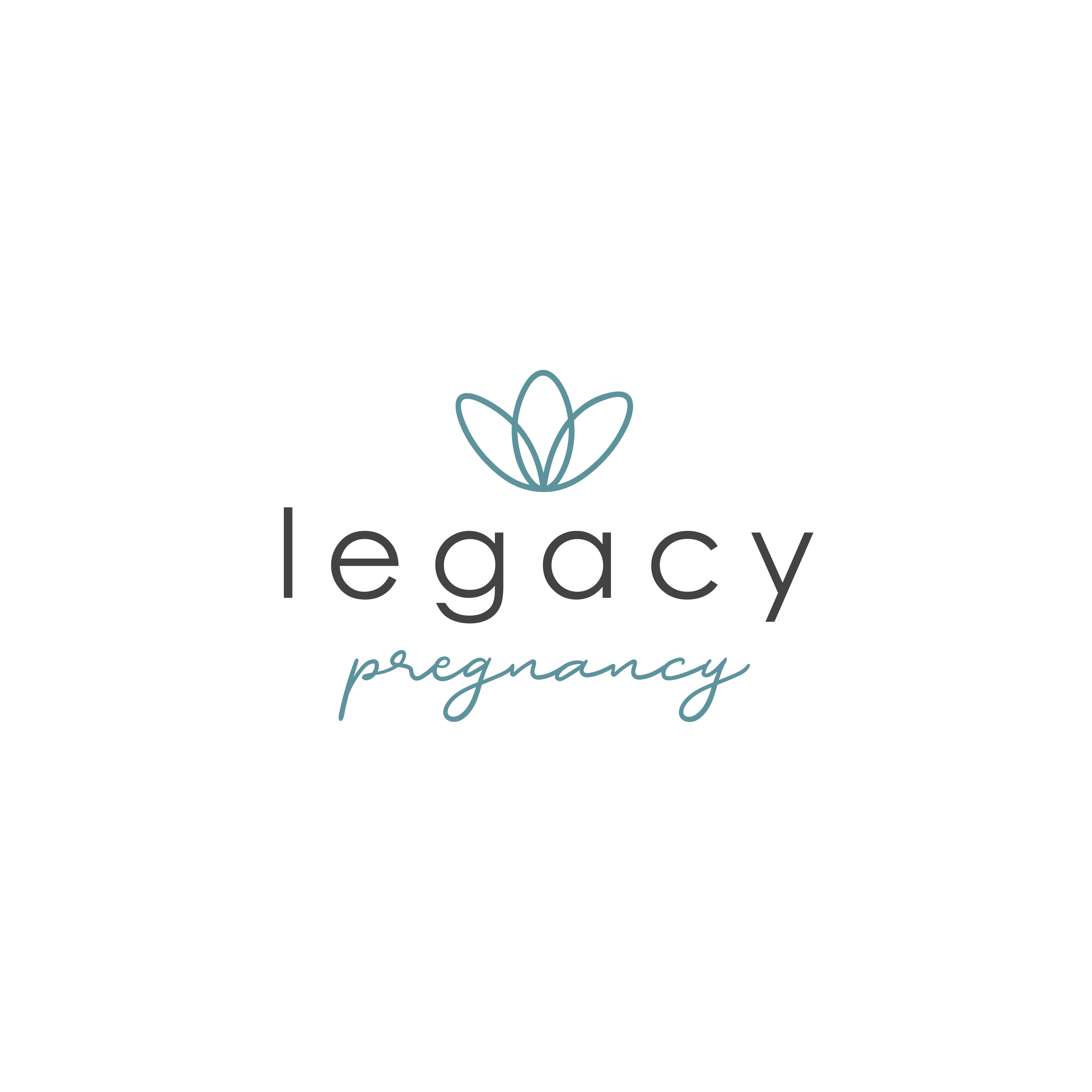    Legacy Pregnancy Consulting