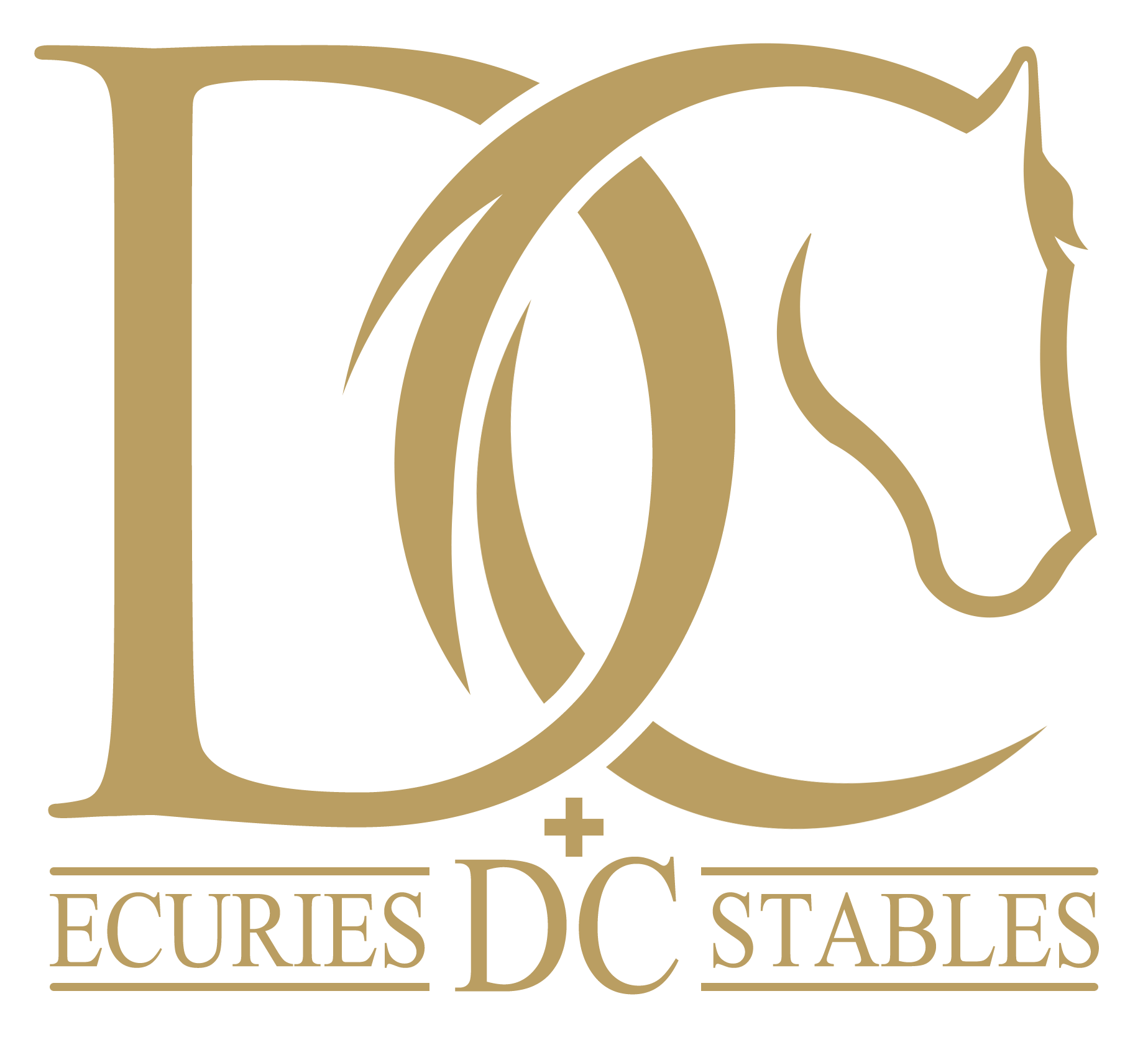 DC Stables