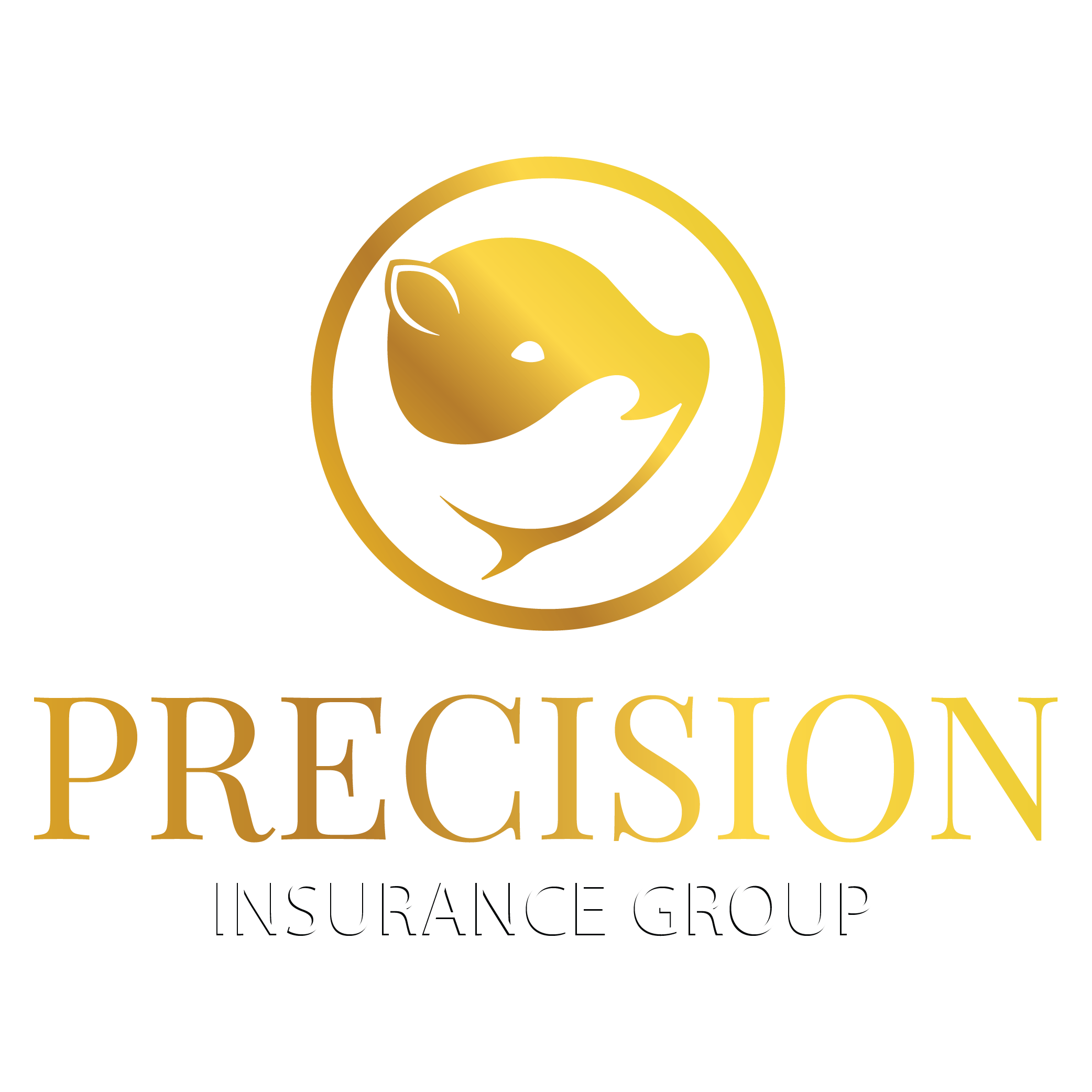 Precision Insurance Group