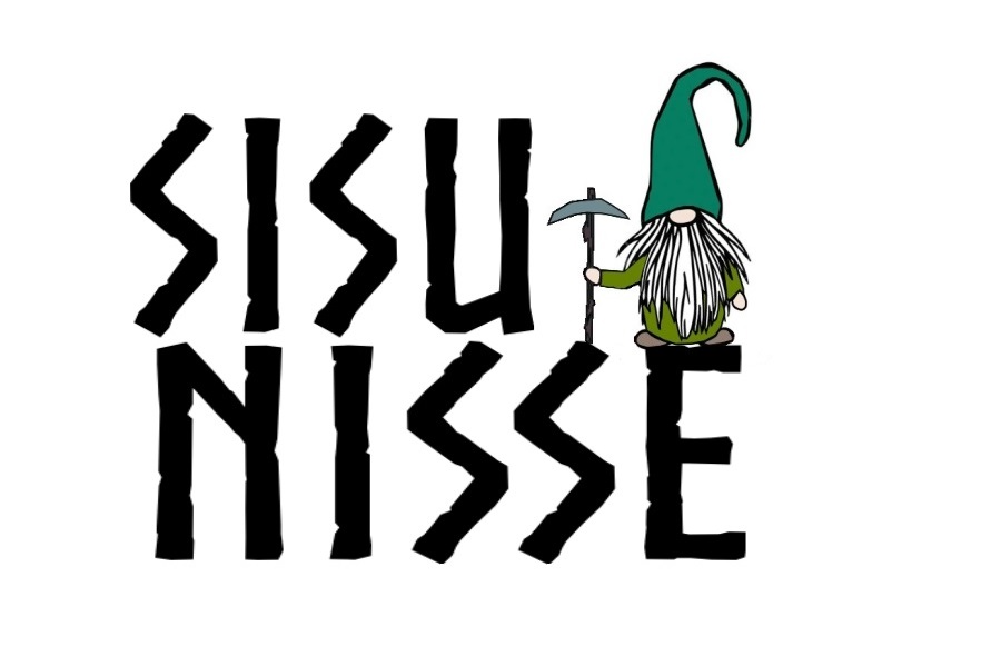Sisu Nisse International Consulting