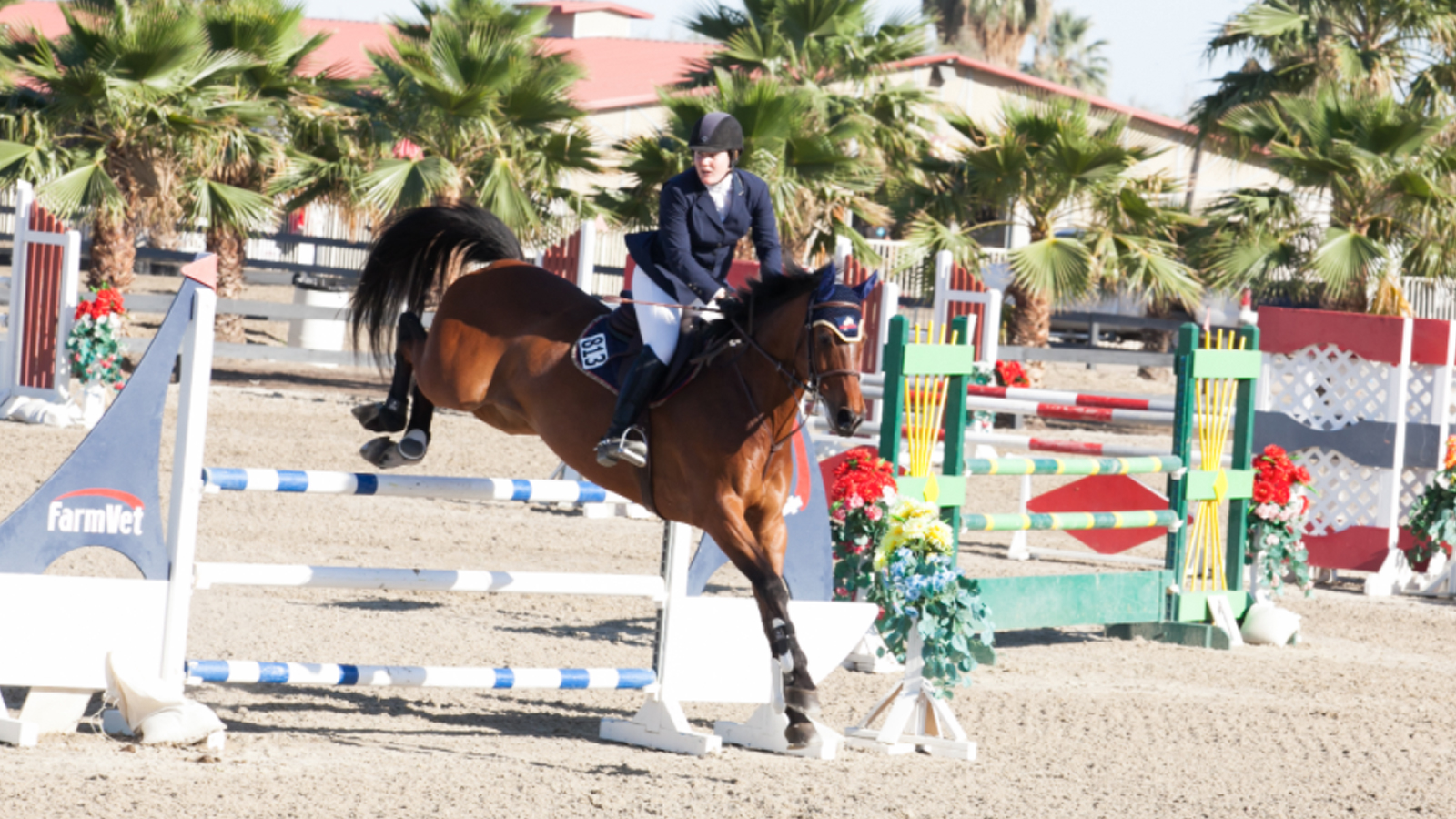 Home - Fieldstone Riding Club