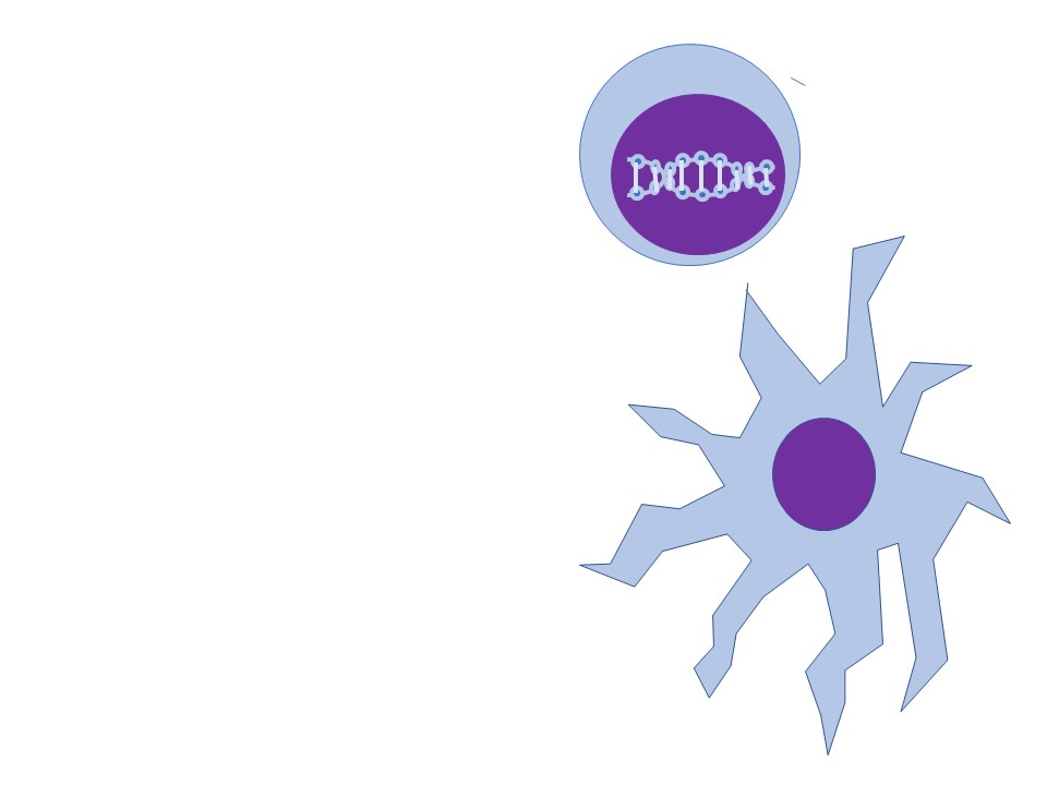 WEJ Cell and Gene Therapy Consulting Services, LLC