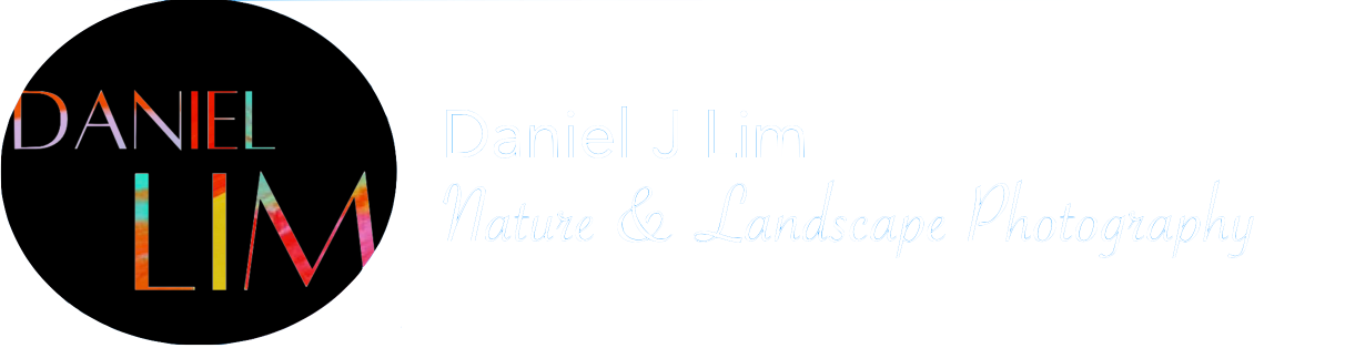 Daniel J Lim Photography