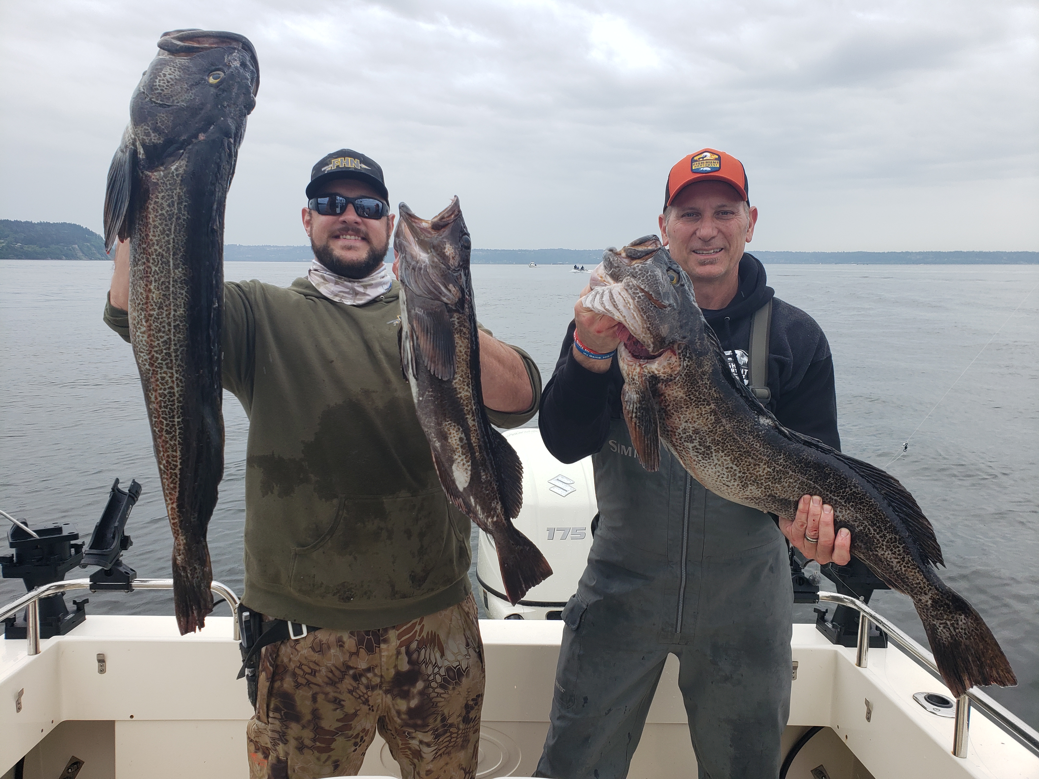 Puget Sound Lingcod Fishing