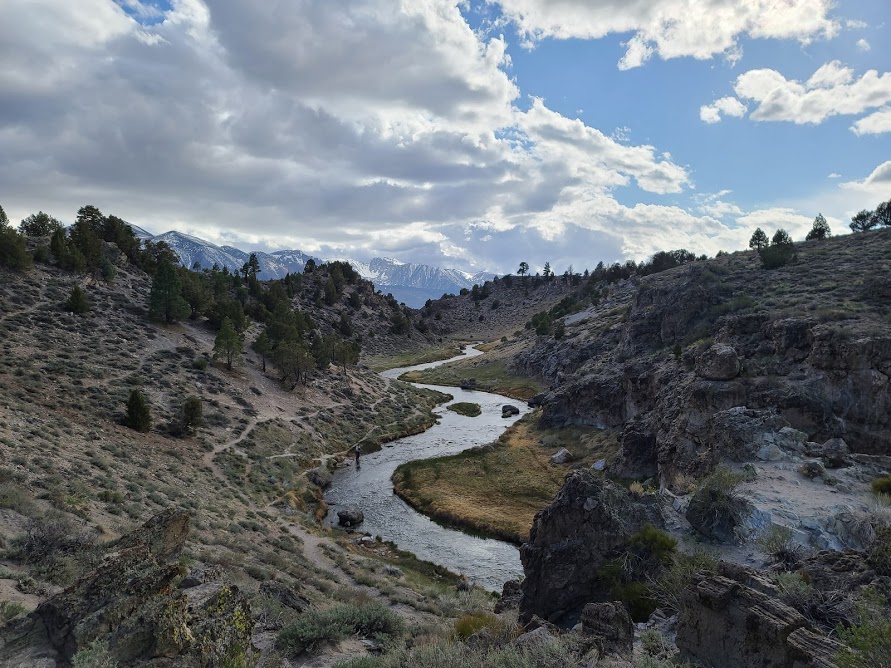 Hot Creek Fly Fishing in Mammoth Lakes, Crowley, and the Eastern Sierra