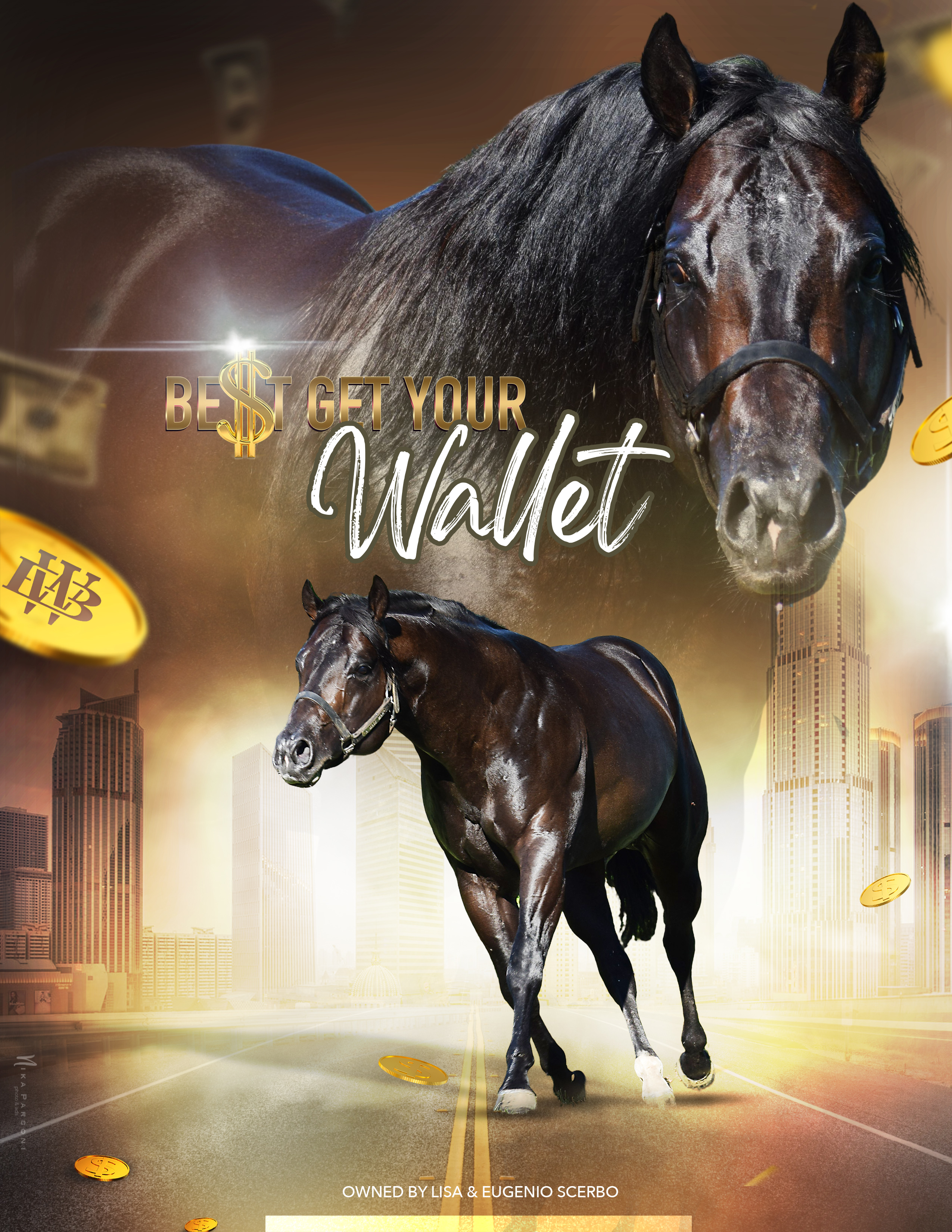 Gallery of Stallions