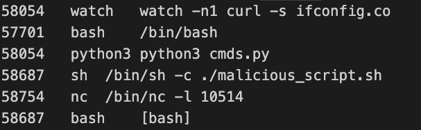 Example of process output from a kernel memory dump analysis