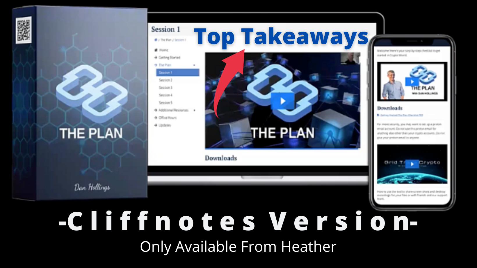 cliffnote version of the plan by dan hollings