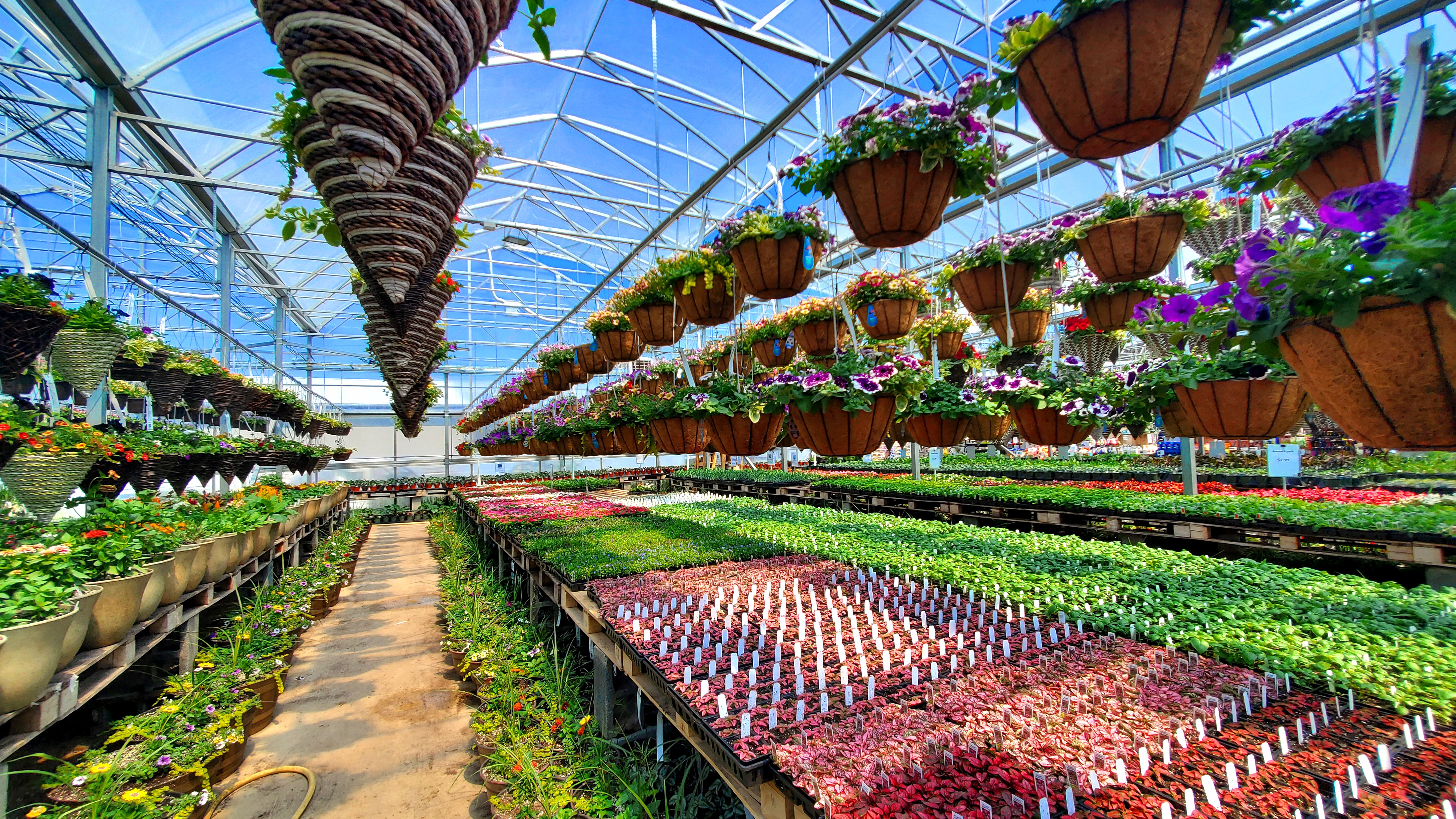 Glick's Greenhouse | Oley PA | Family Business | 