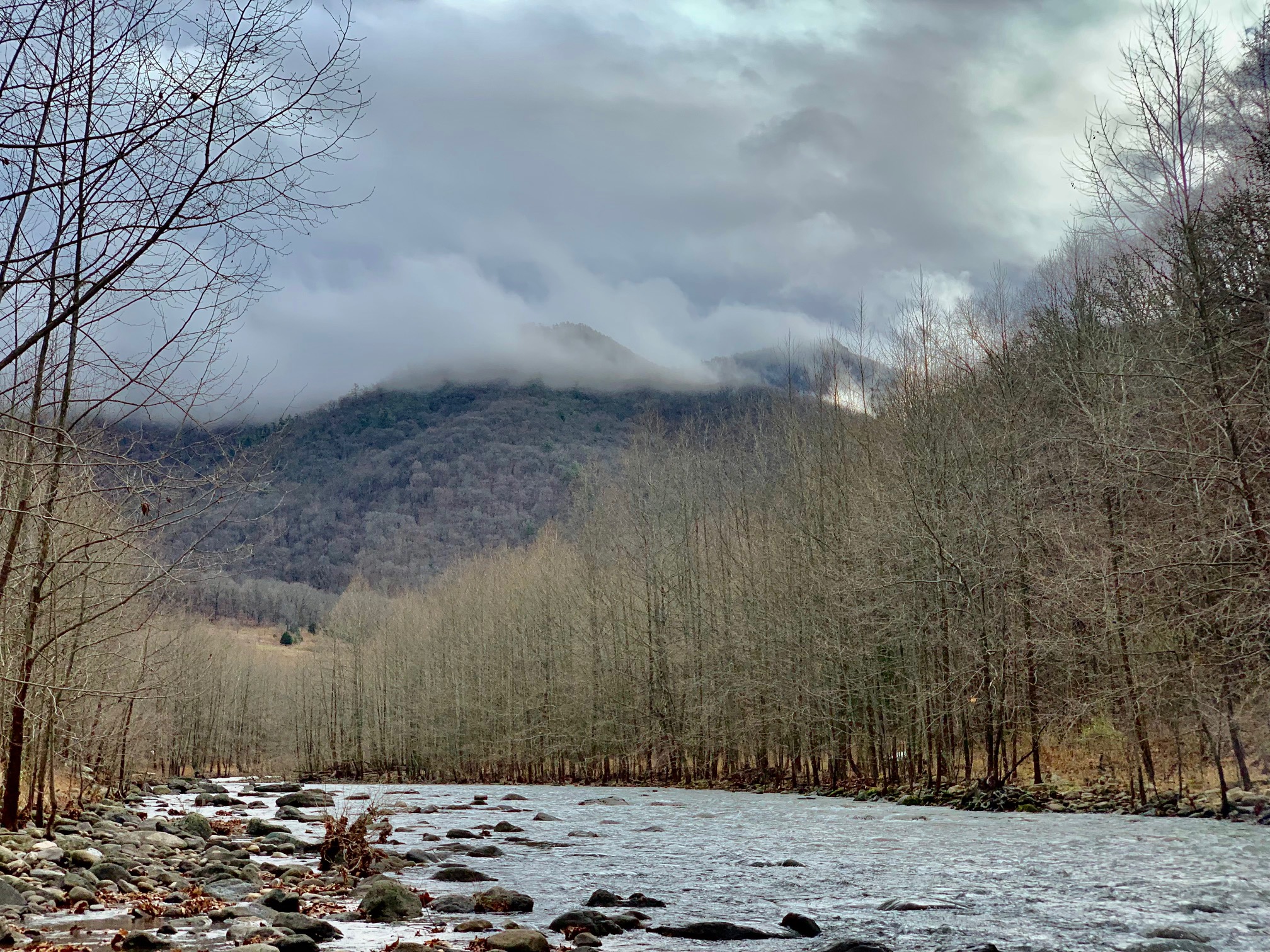 North-Fork-South-Branch-Potomac-River,-Grant-County,-WV.jpg