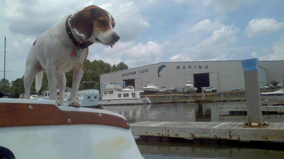 Dolphin Cove Marina Boat Repair Boat Storage Charleston Sc 29405