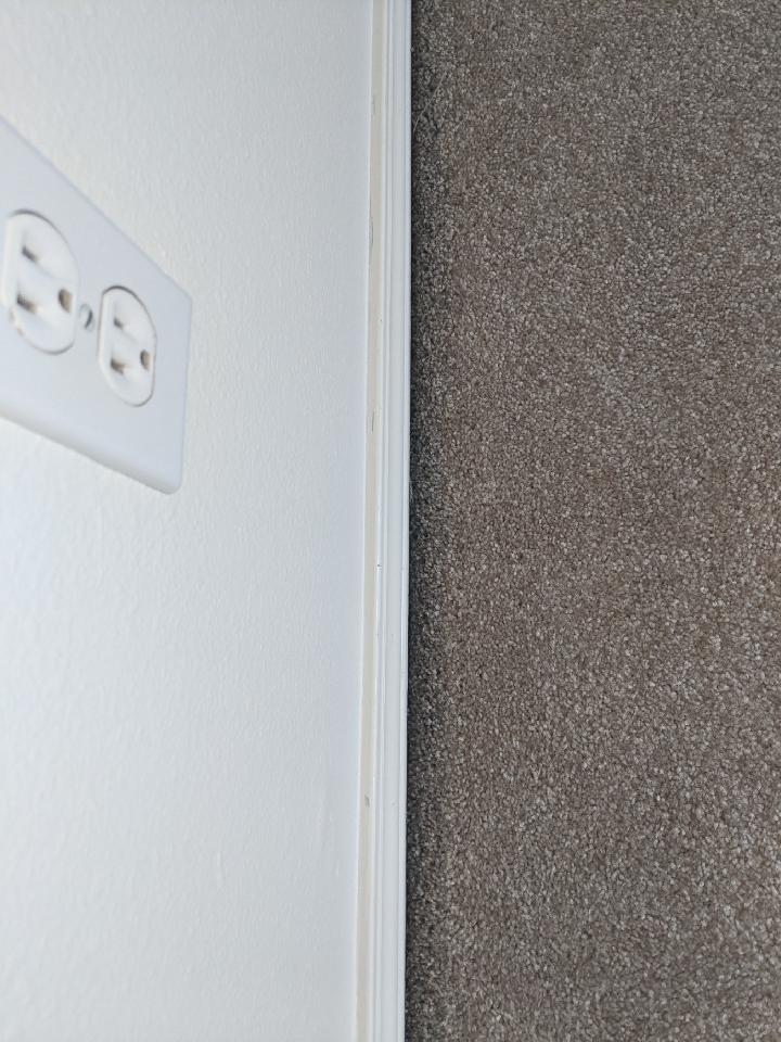 Carpet Cleaning in Portland